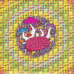Buy LSD-25 Tabs Mushroom Brain